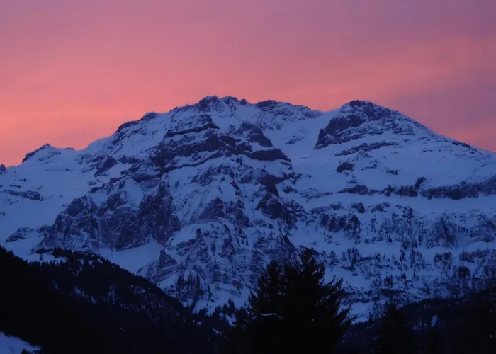 Apartamento Strubelblick Eg By Interhome Lenk im Simmental